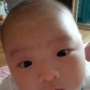 캉캉노래연습장 이미지