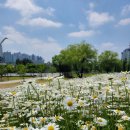 증촌놀이터 이미지