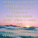 당진 햇수미감자 왕특사이즈만 10kg택포 18000원 이미지