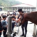 함안 승마장 이미지