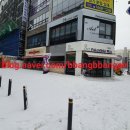 네이처컬렉션군산