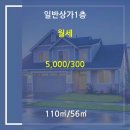 분당-178 이미지