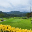 골프존파크 버디스크린 이미지