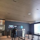 재미있는 삼국지 인성탐험 | 우연히 웨스 앤더슨2 전시 후기 (그라운드 시소)