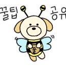 마인네하우스 이미지