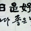 일일시호일 이미지
