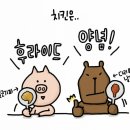 상구야치킨 - 북구 만덕대로78번길 6 | 상구야치킨