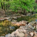 아래농장 이미지