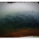 장미별장 이미지