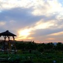 배곧생명공원 이미지