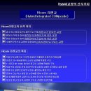 공사비 절감되는 하이콤(Hicom) 라멘교를 소개합니다. - 타입별 공사비 수록(효명이씨에스) 이미지