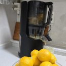 (주)레몬하우스 이미지