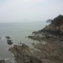 초립동식당 Daum카페