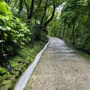 진산한우정육점 | [100대 명산] 주흘산