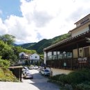 지리산옻닭 이미지