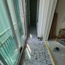 삼성장미 이미지