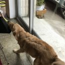 예스예스커피
