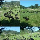 어등농장 이미지