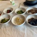 소노펠리체 델피노 이미지