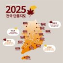 운길산 등산로[송촌-9] | [서울 근교 단풍명소] 당일치기로 떠나는 가을 단풍 여행 코스 BEST 5 시기·꿀팁