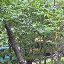 포천 모노레일(주) 이미지