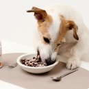 ㈜케어사이드 이미지