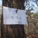 광바위주유소 이미지