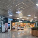 김해 공항 기념품 탄탈라이즈 로컬박스 맛집 방문 후기 - 수박빵, 다래빵, 도넛