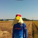 원줄농장 | [2014년 11월 7일] 지금시즌이 바로 장어낚시 최적기!