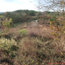 용천농장 이미지