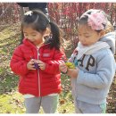 목감퍼스트어린이집 이미지