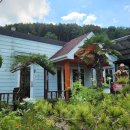 남해-삼동-삼동-비-1 이미지