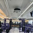 바디트랜스짐 정왕점 헬스 PT 이미지