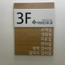 충정로 수이비인후과의원 수액주사(마늘주사) 후기