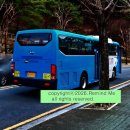 서희행정사무소 이미지