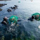 고대1105 이미지