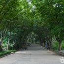 봄 날 숲길따라, 사하 林[산림치유 평생학습 프로그램] | [서울 강서구] 롯데몰 김포공항점 - 14kg 이하 · 이동장/유모차 사용 · 맹견 제한