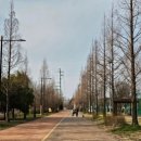 진주종합경기장 인라인경기장 이미지