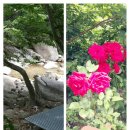 봉산민박 이미지