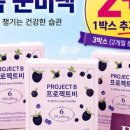 프로젝트핏