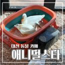 봉산동 강아지 | 대전 봉산동 이색 카페 애니멀스타 실내 동물원 후기