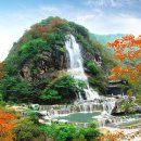 비경