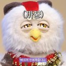 창너머꿈 네이버블로그