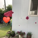 용우농장 이미지