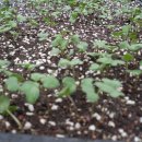 정식농장 이미지