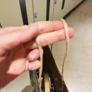 꽃향기 가득 천 채색화 | [현대백화점 클럽세이푸디] 란도린 일본 섬유탈취제로 포근한 향 가득