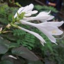 매봉약수터 이미지