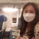 미르메딕스 이미지