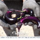 서면 당림2리 이미지