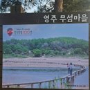 영주 무섬마을 | 영주 무섬마을 겨울 감성 후기｜외나무다리 산책 코스 + 주차·가는법 정리